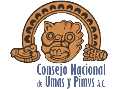Aliados Coatlan