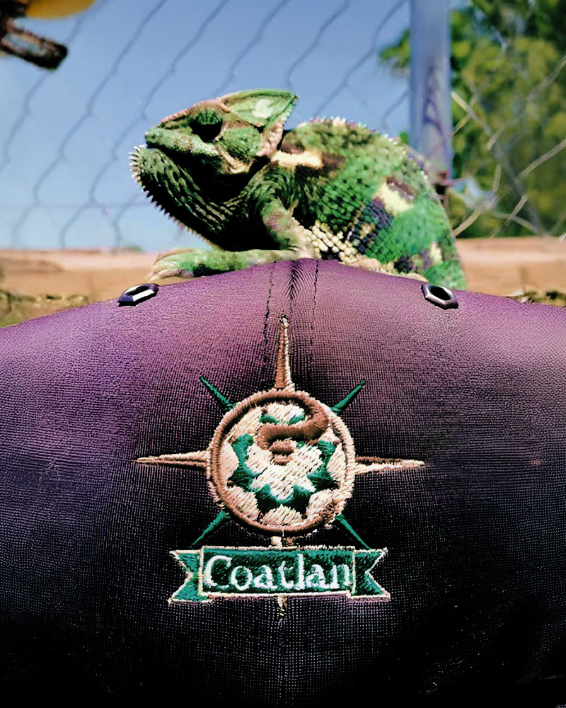 Coatlan 1