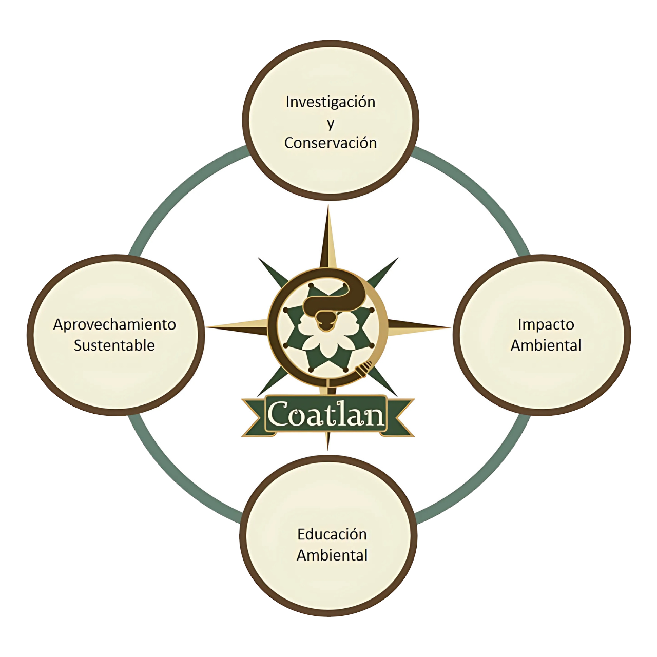 coatlan-ejes-rectores